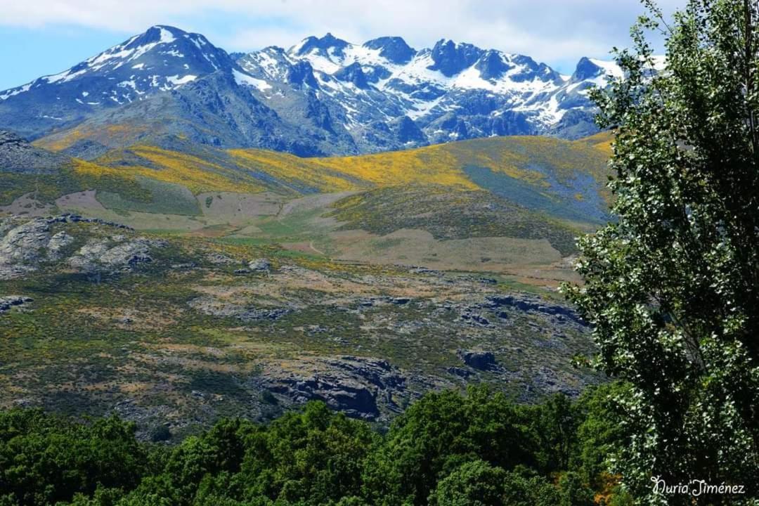 Casa Rural Las Canales Zapardiel de la Ribera Eksteriør bilde